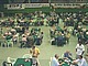 56.jpg